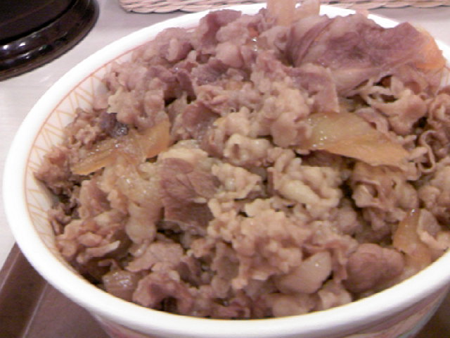 メガ牛丼②